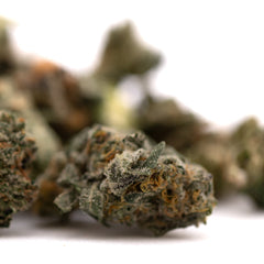 Sour Runtz Indoor THCa Flower Smalls - Plants