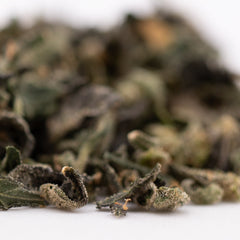 Sour Runtz Indoor Trim Wholesale 1LB - 1 LB - Plants