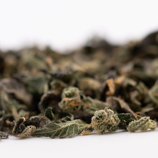 Sour Runtz Indoor Trim Wholesale 1LB - 1 LB - Plants