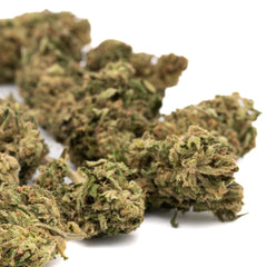 Spectrum CBD Hemp Flower Full-Term - Plants