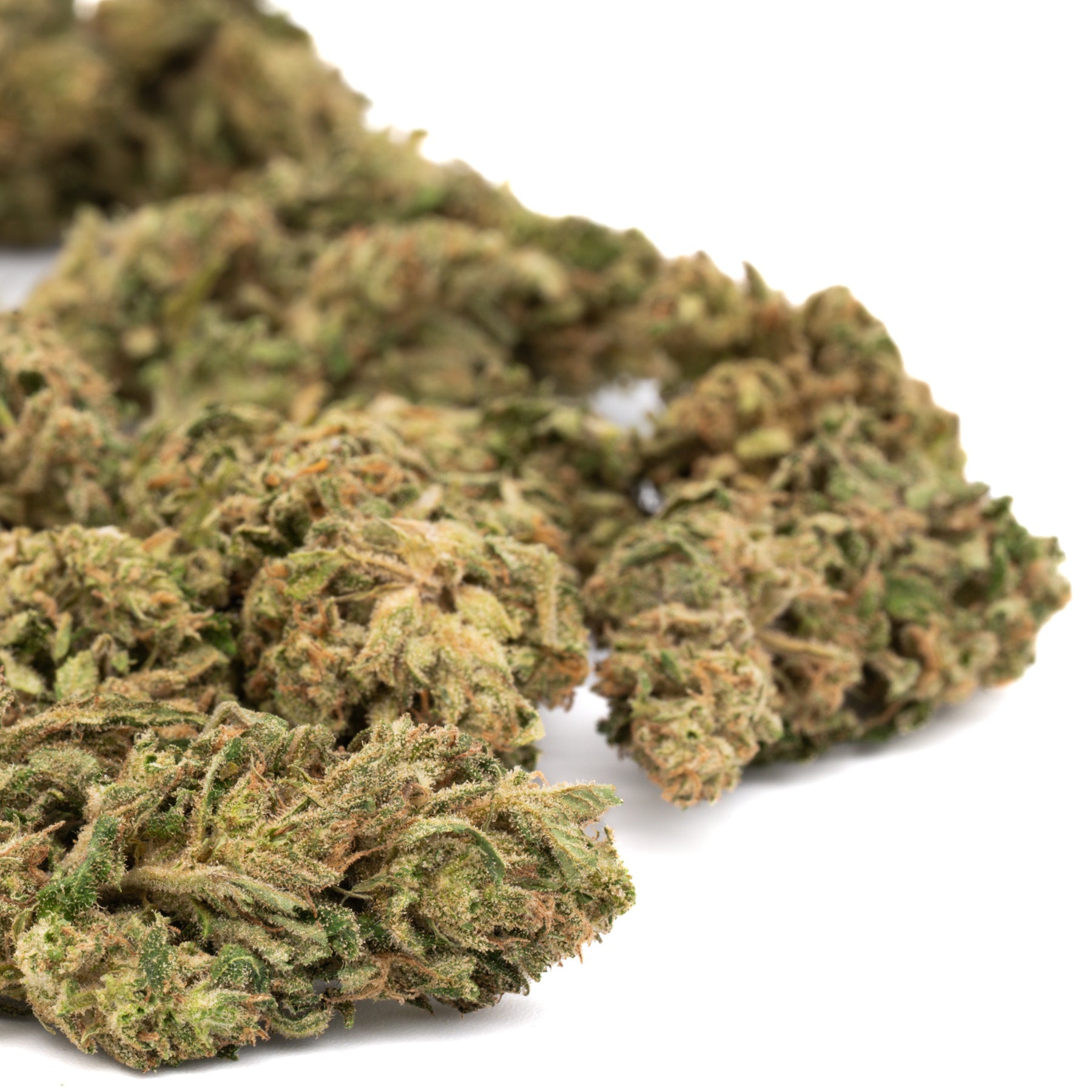 Spectrum CBD Hemp Flower Full-Term - Plants