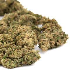 Spectrum CBD Hemp Flower Full-Term - Plants