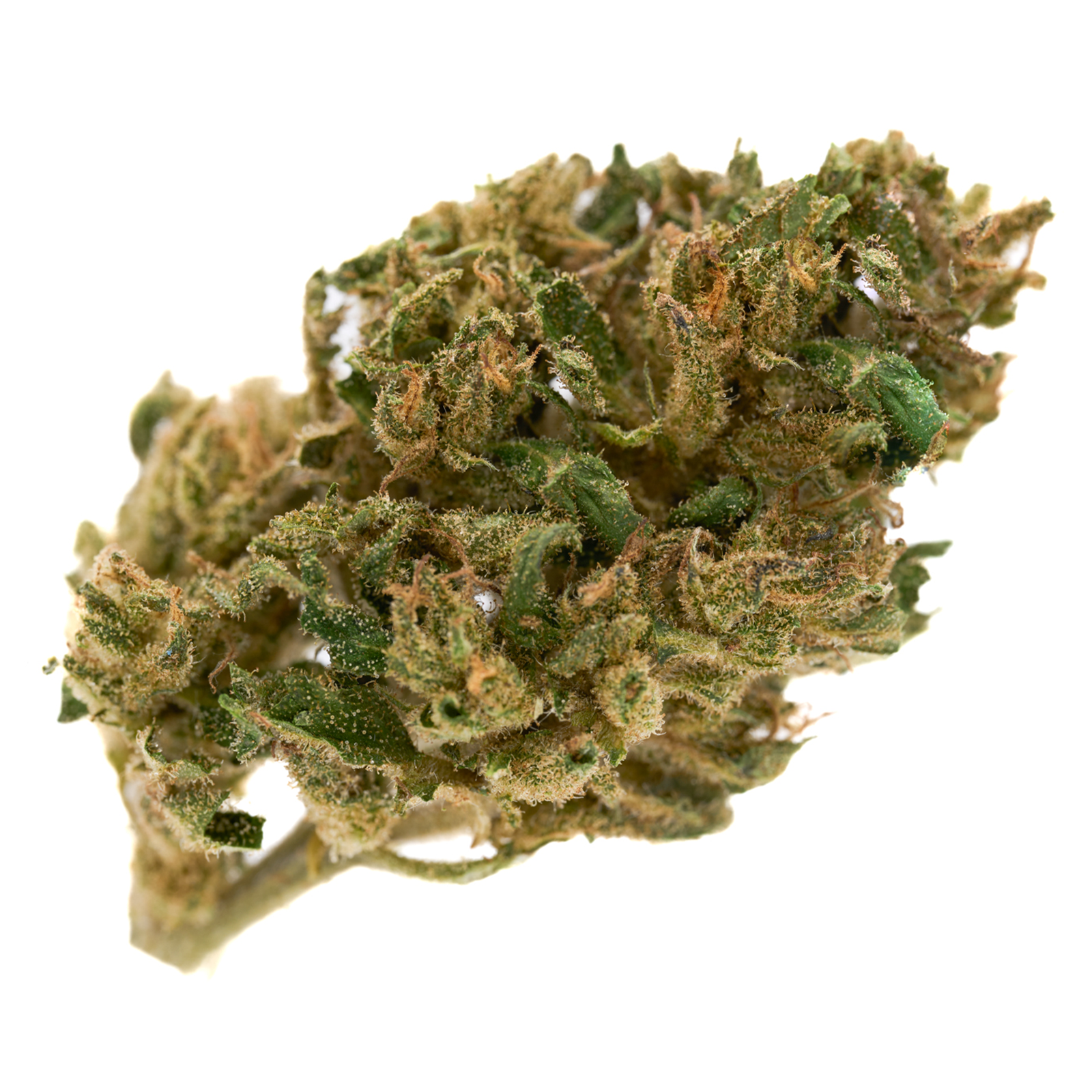 Spectrum CBD Hemp Flower Full-Term - Plants