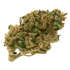 Spectrum CBD Hemp Flower Full-Term - Plants