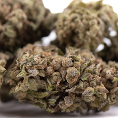 Strawberry Cheesecake THCa Flower Full-Term