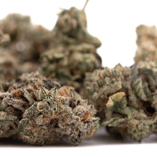 Street Tarts Indoor THCa Flower Wholesale