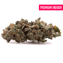 Street Tarts Indoor THCa Flower Wholesale