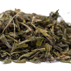 Studio 54 Greenhouse THCa Trim Wholesale