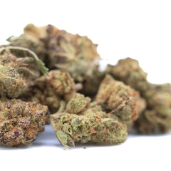 Studio 54 THCa Hemp Flower Greenhouse Smalls