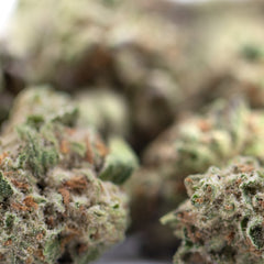 Subzero THCa Hemp Flower Greenhouse Smalls