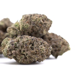 Sugar THCa Hemp Flower Greenhouse