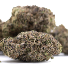 Sugar THCa Hemp Flower Greenhouse