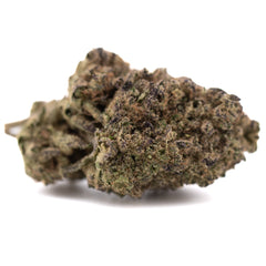 Sugar THCa Hemp Flower Greenhouse