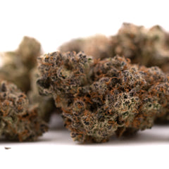 Super Runtz Indoor THCa Flower - Plants