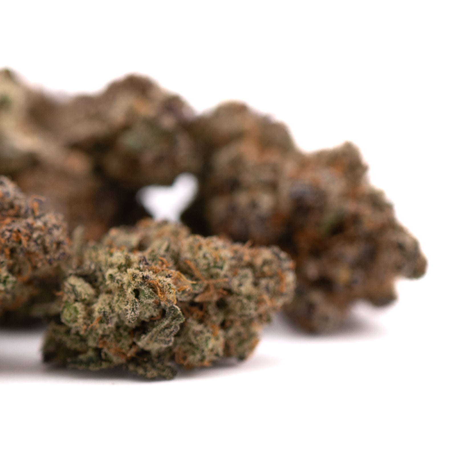 Super Runtz Indoor THCa Flower - Plants