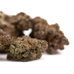 Super Runtz Indoor THCa Flower - Plants