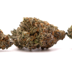 Super Runtz Indoor THCa Flower - Plants