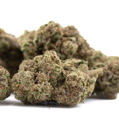 Super Runtz THCa Hemp Flower Greenhouse - Plants