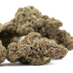 Super Runtz THCa Hemp Flower Greenhouse - Plants