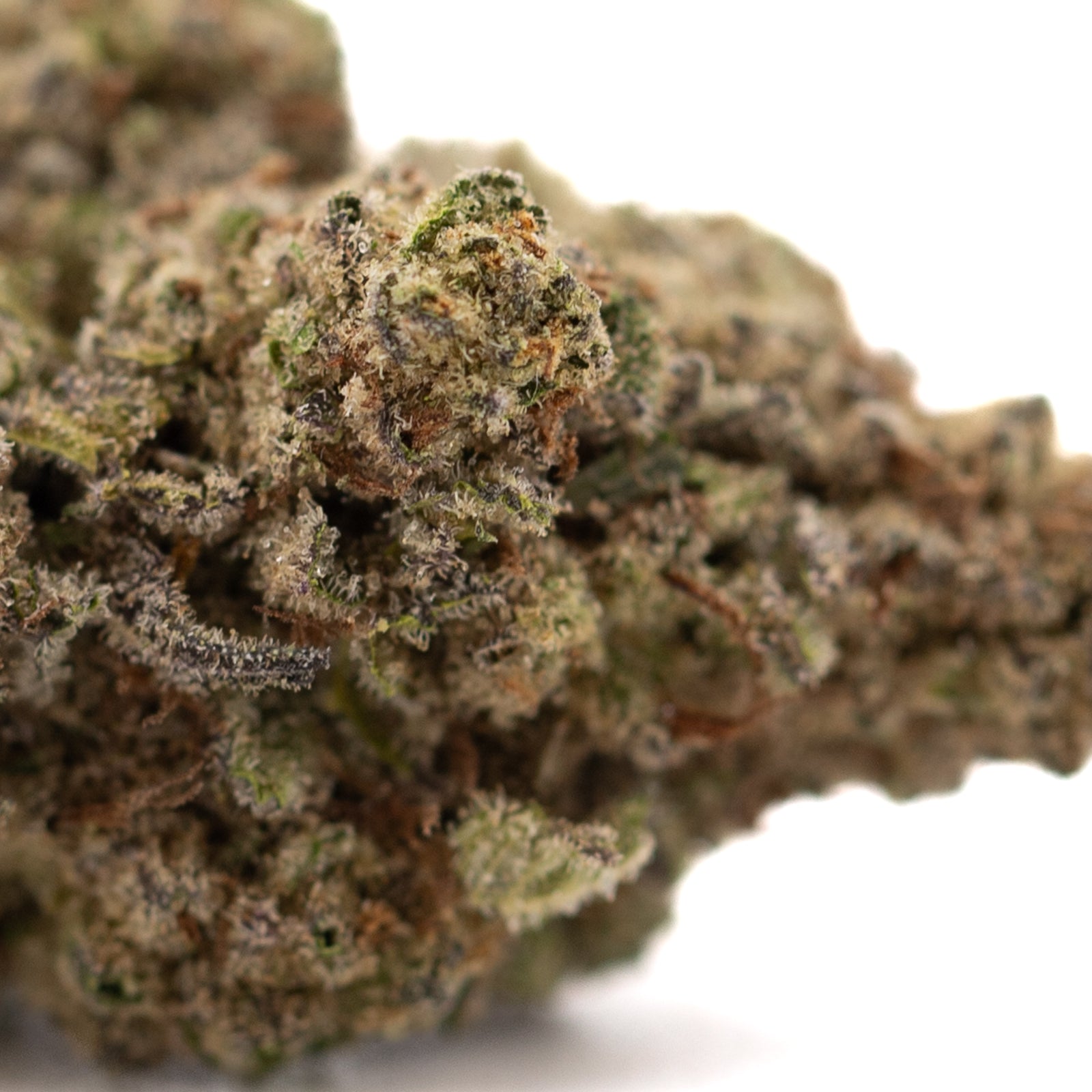 Super Runtz THCa Hemp Flower Greenhouse - Plants