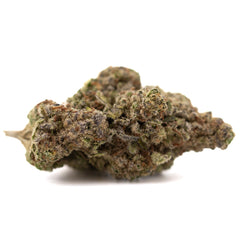 Super Runtz THCa Hemp Flower Greenhouse - Plants
