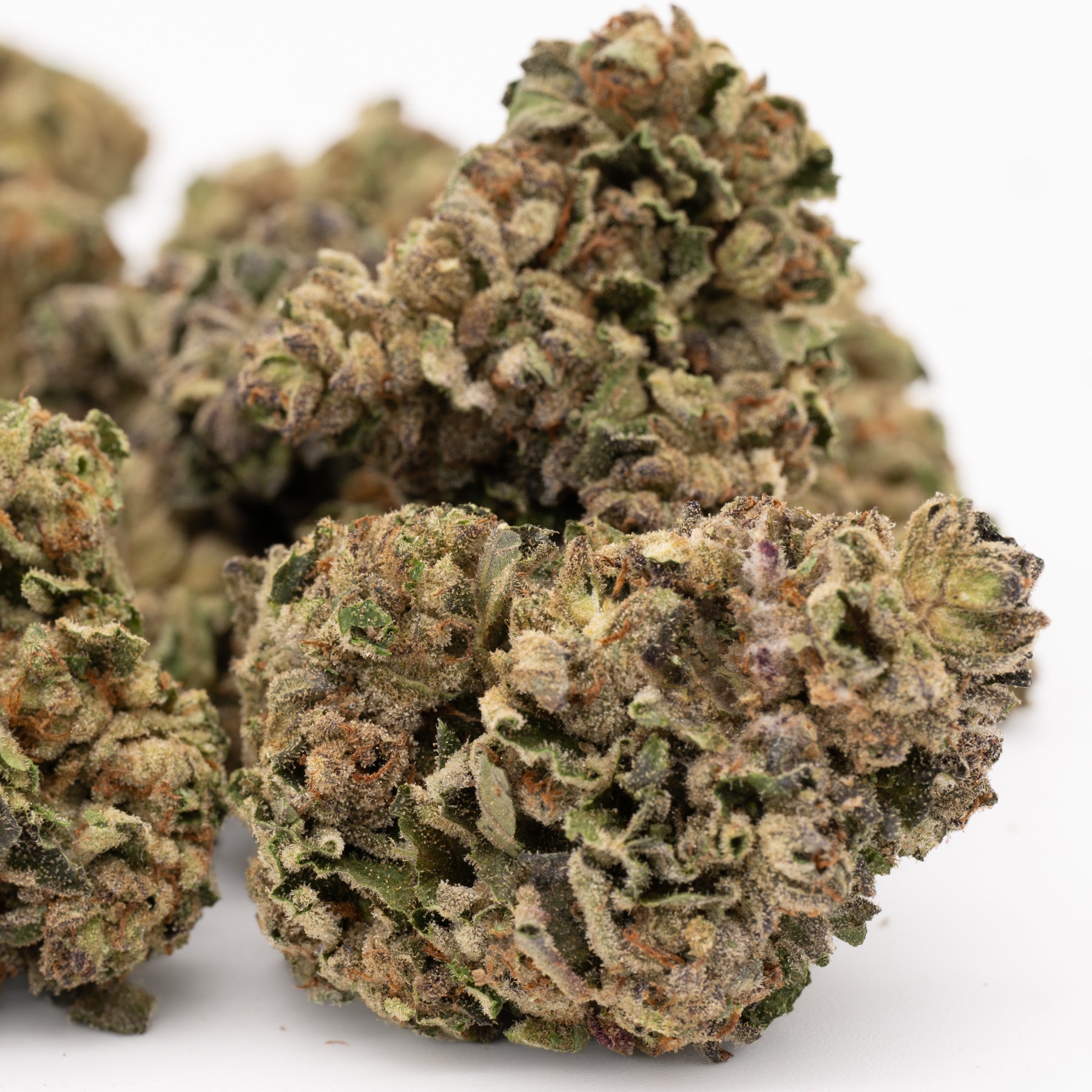 Super Sonic Full-Term THCa Flower - Plants