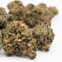 Super Sonic Full-Term THCa Flower - Plants