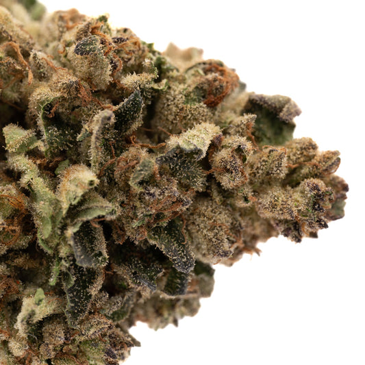 Super Sonic Full-Term THCa Flower - Plants