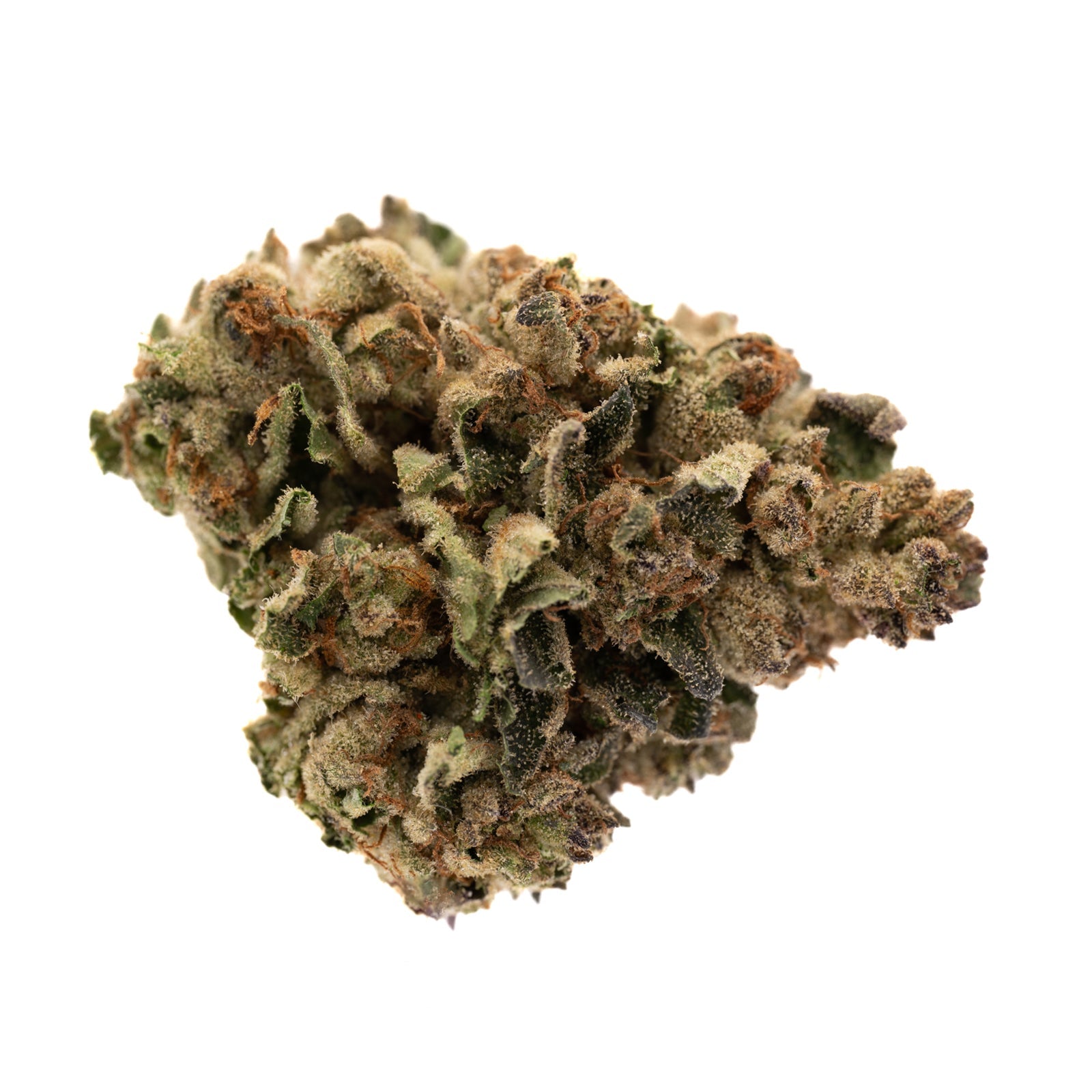 Super Sonic Full-Term THCa Flower - Plants