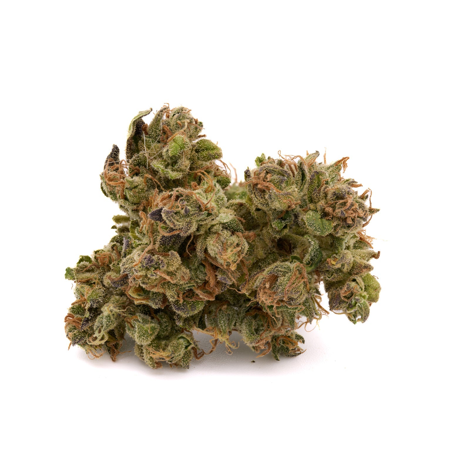 EZ Baked THCa Kief - Plants