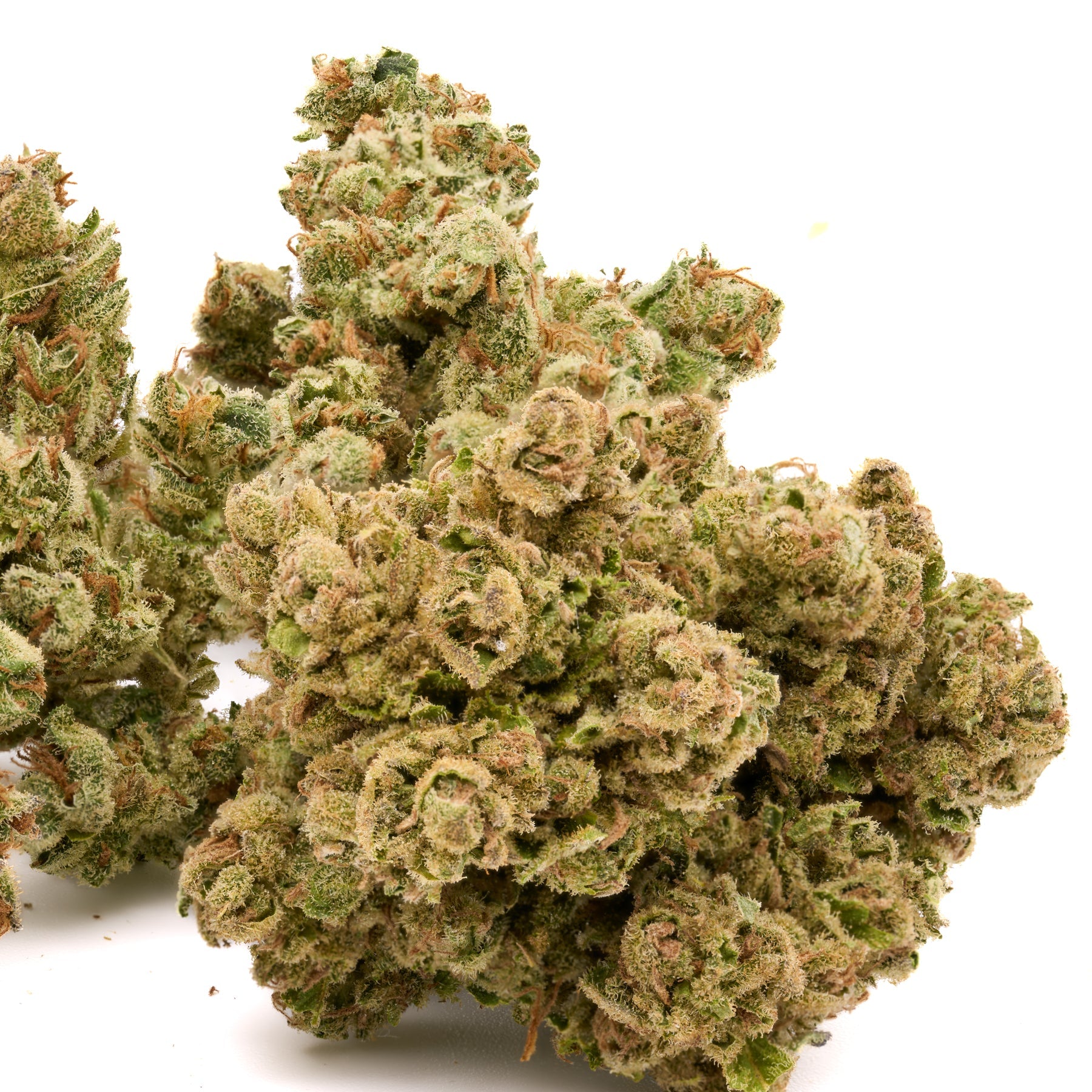 Star Krunch THCa Trim Wholesale 1LB - 1 LB - Plants