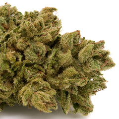 Vanilla Frosting THCa Trim Wholesale 1LB - 1 LB - Plants