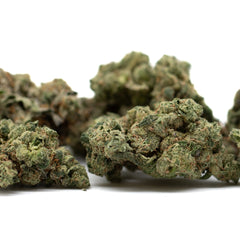 Teflon Indoor THCa Flower - Plants