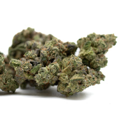 Teflon Indoor THCa Flower - Plants
