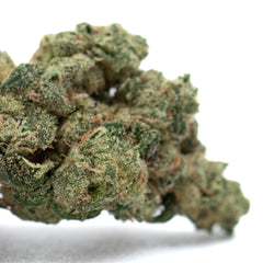 Teflon Indoor THCa Flower - Plants