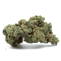 Teflon Indoor THCa Flower - Plants
