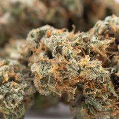 Thai OG Indoor THCa Flower