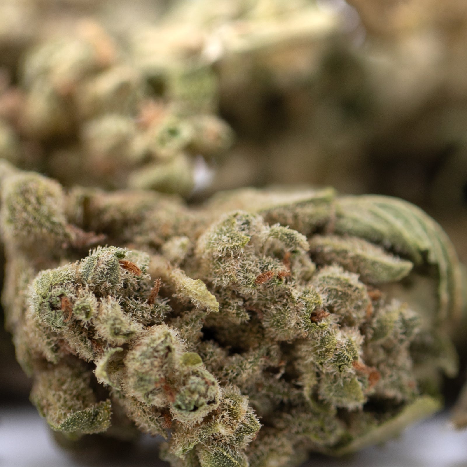 Premium TriCross THCa Flower Smalls with trichomes