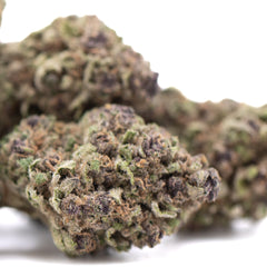 Tropical Punch THCa Hemp Flower Greenhouse