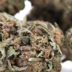 Tropical Punch THCa Hemp Flower Greenhouse