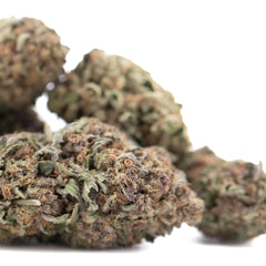 Tropical Punch THCa Hemp Flower Greenhouse