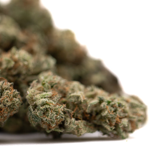 Tropical Punch Indoor THCa Flower Smalls - Plants