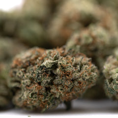 Tropical Punch Indoor THCa Flower Smalls - Plants