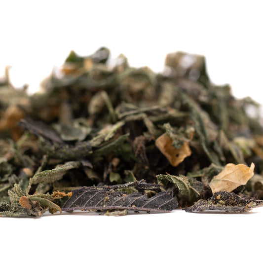 Tropical Punch Indoor Trim Wholesale 1LB - 1 LB - Plants