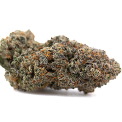 Tropical Punch Indoor THCa Flower