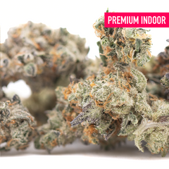 Truffle Dawg Indoor THCa Flower