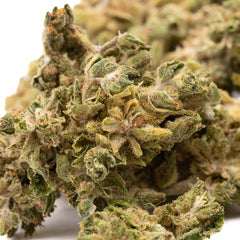 Tune CBD Hemp Flower Smalls - Plants