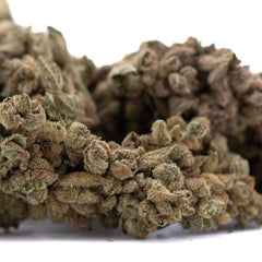 Turtle Taffy THCa Flower Full-Term Smalls