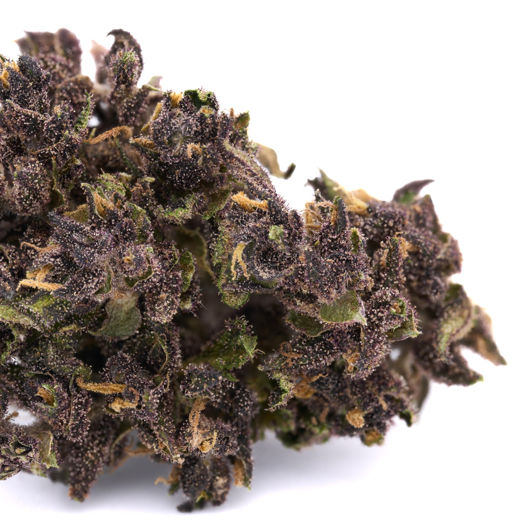 Ultra Pink CBD Hemp Flower Smalls - Plants