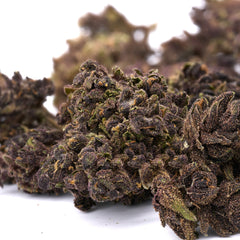 Ultra Pink CBD Hemp Flower Smalls - Plants